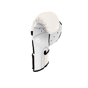 Articles de sport gant de boxe